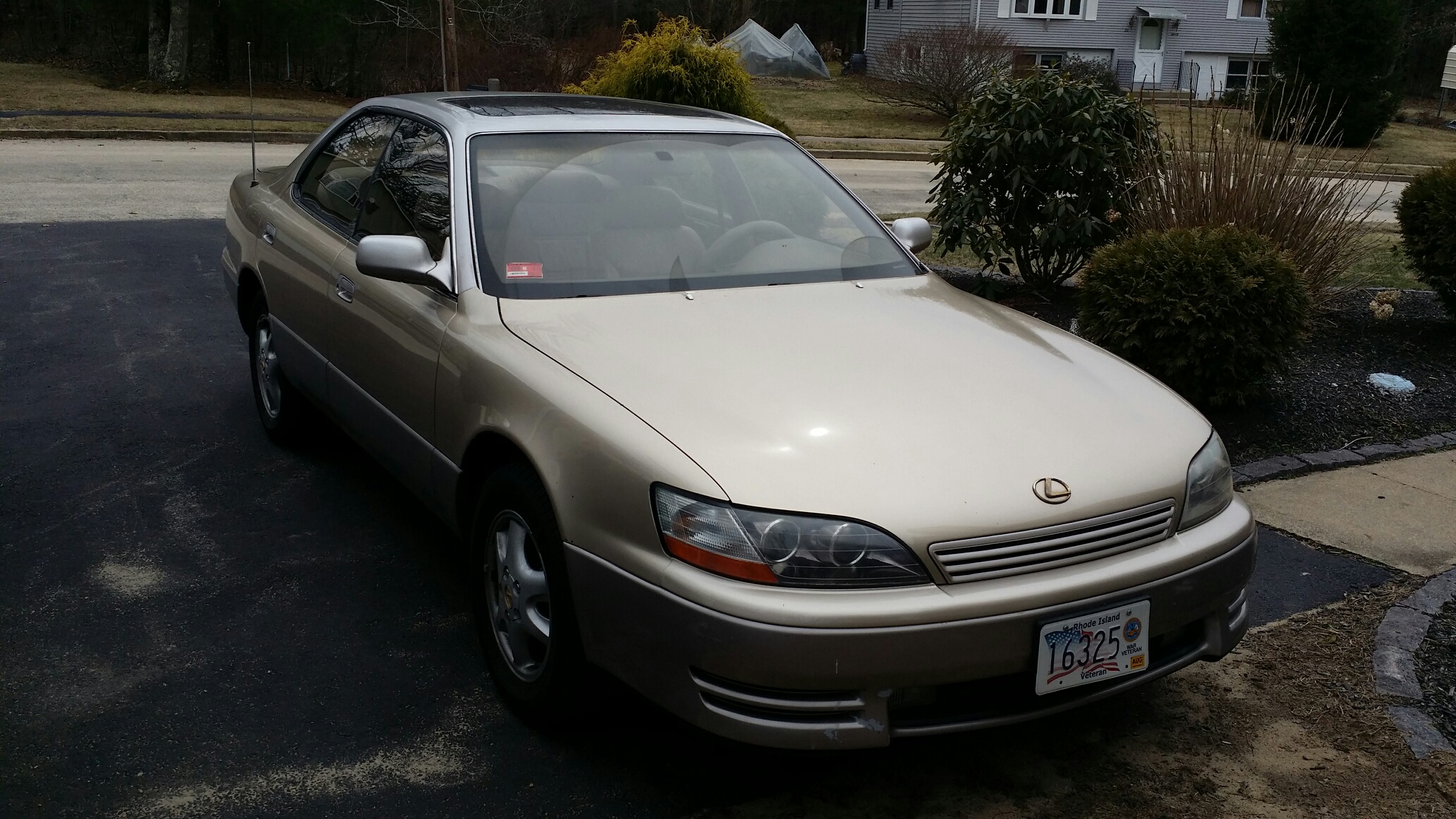 20140407_145656.jpeg
